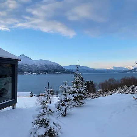 Aurora Lux Ytre Tomasjord